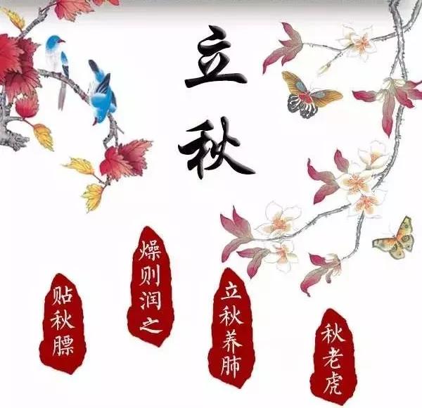 1598931535644960.jpg 03.jpg